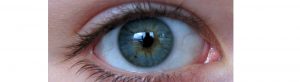 Dr. Burke, Can Antioxidants Improve Eye Health?